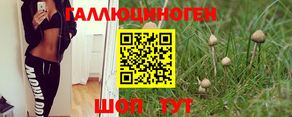 Великий Устюг  Псилоцибиновые грибы мухоморы  Вход с VPN 