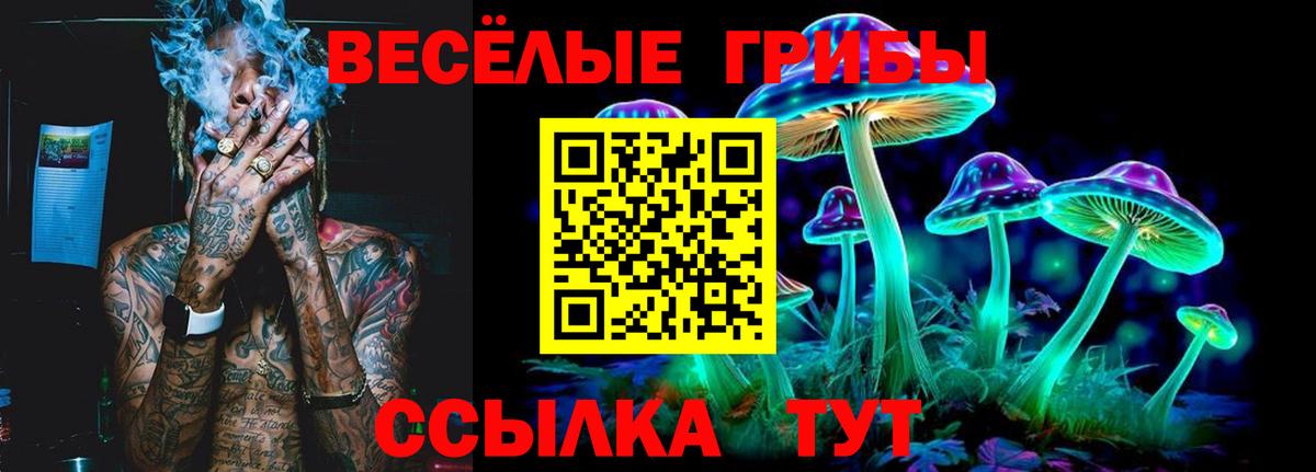 Галлюциногенные грибы MAGIC MUSHROOMS Великий Устюг